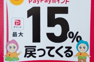 この機会にPayPayで小顔矯正を体験しませんか？